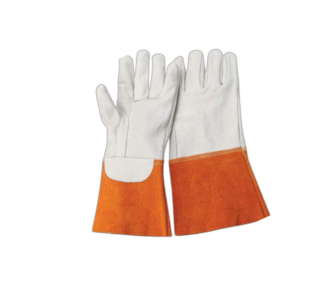 Transparent Vinyl Gloves